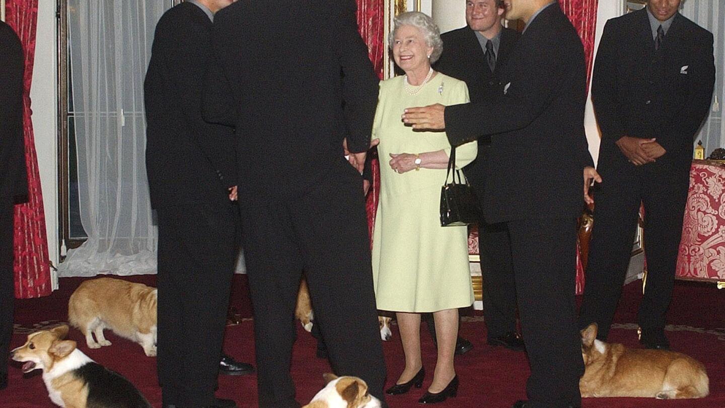 Queen elizabeth ii dog breed online